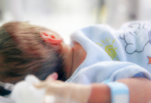 Shqipëria rritet vetëm në Tiranë, 7 qarqe drejt shuarjes natyrore