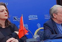 Dorëhiqet nga gara për zgjedhjet në PD-në e Shkodrës, kryetarja në detyrë Eliona Shkreli